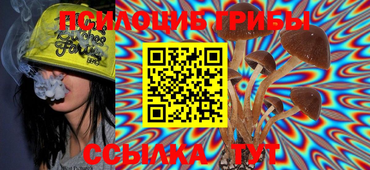 Галлюциногенные грибы Psilocybine cubensis Камышлов